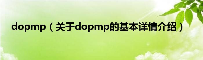 dopmp(关于dopmp的基本详情介绍)