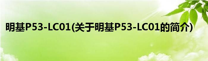 明基P53-LC01(关于明基P53-LC01的简介)