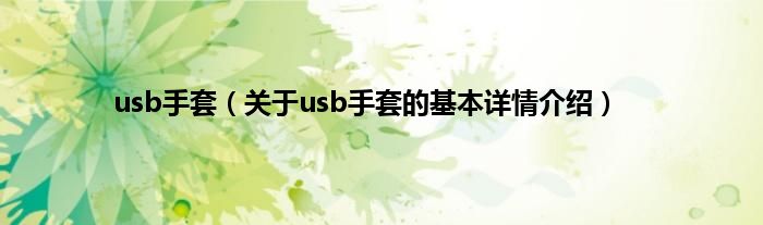 usb手套（关于usb手套的基本详情介绍）