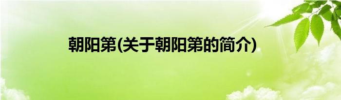 朝阳第(关于朝阳第的简介)