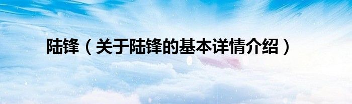 陆锋（关于陆锋的基本详情介绍）