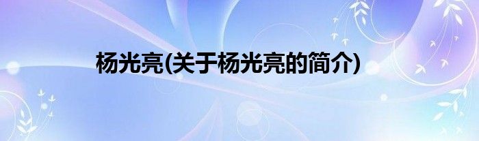 杨光亮(关于杨光亮的简介)