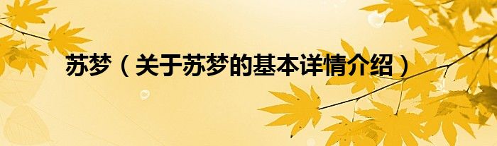 苏梦（关于苏梦的基本详情介绍）