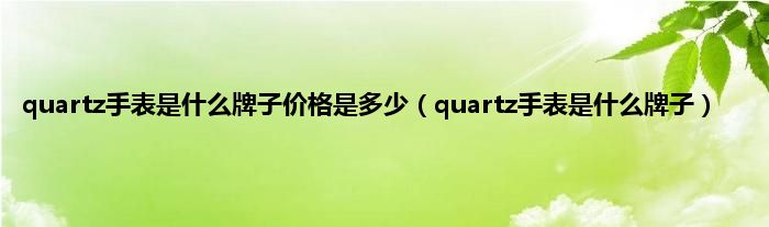 quartz手表是什么牌子价格是多少(quartz手表是什么牌子)