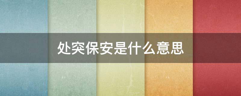 处突保安是什么意思