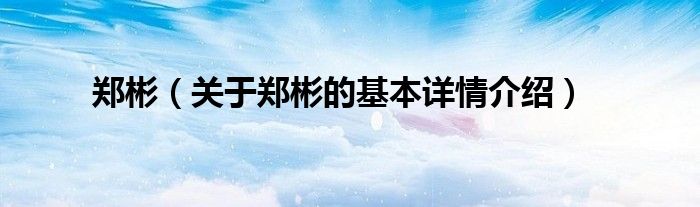 郑彬（关于郑彬的基本详情介绍）