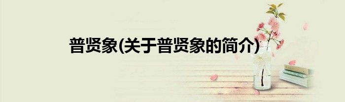 普贤象(关于普贤象的简介)