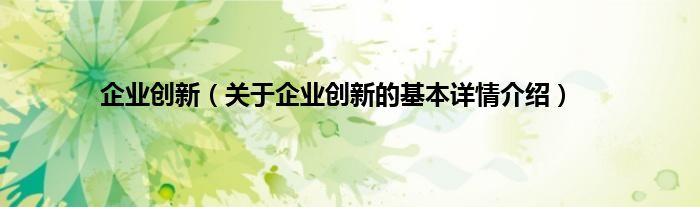 企业创新（关于企业创新的基本详情介绍）