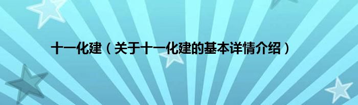 十一化建（关于十一化建的基本详情介绍）