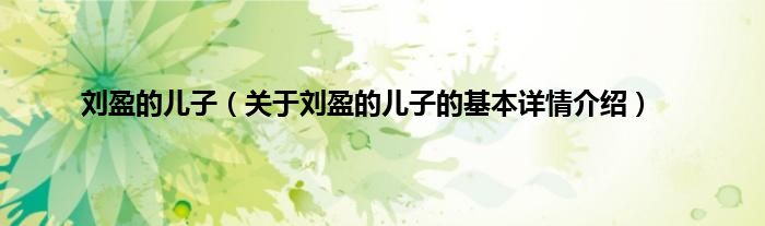 刘盈的儿子（关于刘盈的儿子的基本详情介绍）