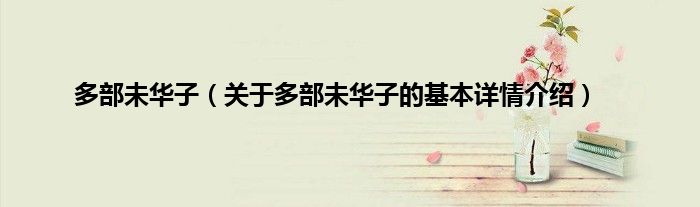 多部未华子（关于多部未华子的基本详情介绍）