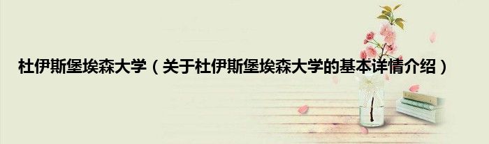 杜伊斯堡埃森大学（关于杜伊斯堡埃森大学的基本详情介绍）