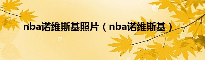 nba诺维斯基照片（nba诺维斯基）