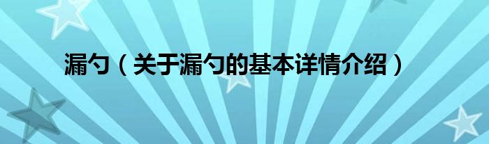漏勺（关于漏勺的基本详情介绍）