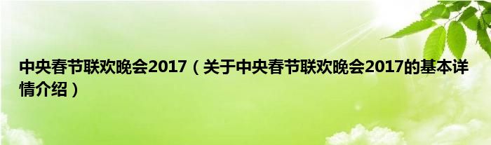中央春节联欢晚会2017（关于中央春节联欢晚会2017的基本详情介绍）