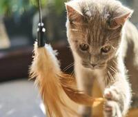 鑫格朗梳妆台怎么清洁保养呢?