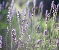 制造厂家工作巡查监督怎么解决时间成本问题?